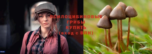 скорость Семилуки