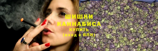 Альфа ПВП Семёнов