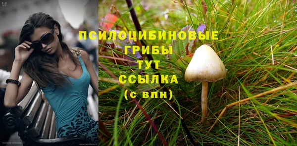 Альфа ПВП Семёнов