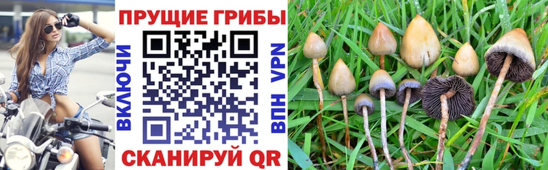 Галлюциногенные грибы мухоморы Усолье